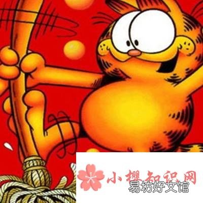 《加菲猫》中的主角是一只什么颜色的猫?