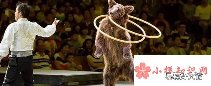 马戏团的动物合法吗?