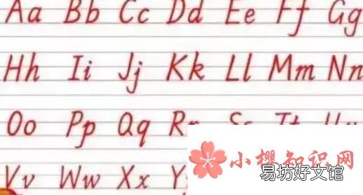 by是什么意思啊?