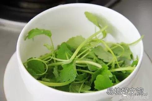 猫毛草的功效和作用(猫毛草图片)