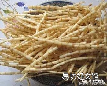 猫毛草的功效和作用(猫毛草图片)