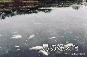 鱼类的减少是因为钓鱼人多了还是污染严重了?