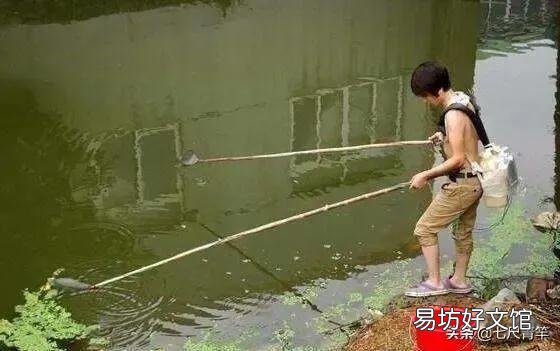 鱼类的减少是因为钓鱼人多了还是污染严重了?