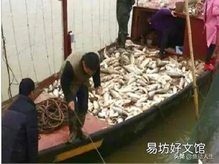 鱼类的减少是因为钓鱼人多了还是污染严重了?