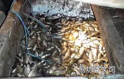 鱼类的减少是因为钓鱼人多了还是污染严重了?