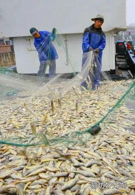 鱼类的减少是因为钓鱼人多了还是污染严重了?