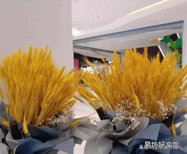 农民将未成熟的小麦提前收割,做工艺品,是浪费粮食吗?