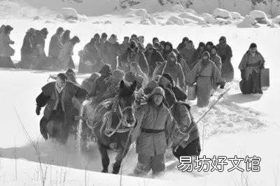 为什么清末民初会有闯关东、走西口这样大规模的人口迁移?