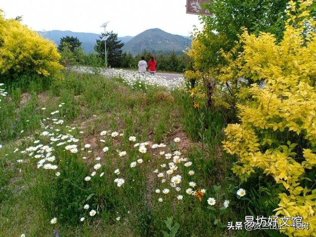 黄河沿岸最富庶的地方到底是哪里?
