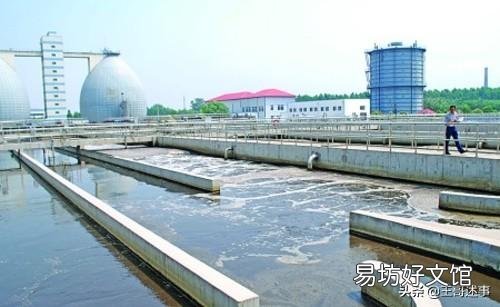 现在城市人口爆炸，大量的排泄物是怎么处理的？