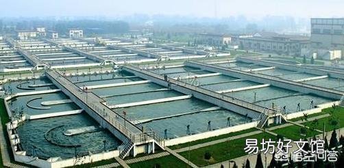 现在城市人口爆炸，大量的排泄物是怎么处理的？