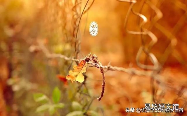 今年是124年来最早秋分,为什么24节气的时间每年都不一样?