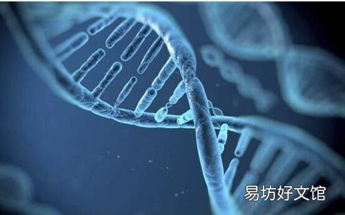 为什么人的身高越来越高?