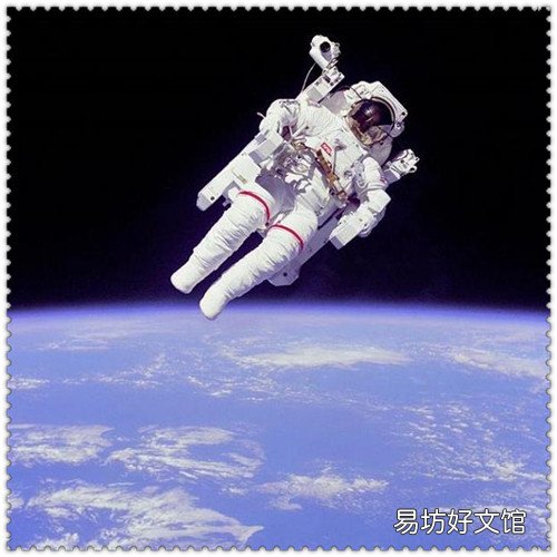 高档玫瑰品种大全 玫瑰花品种名字大全