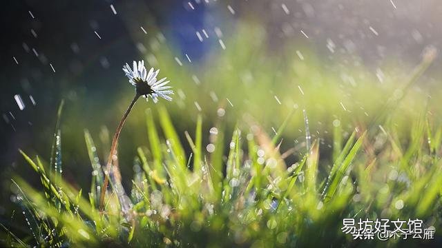 今年雨水这么多,对庄稼人来说到底是好事还是坏事?