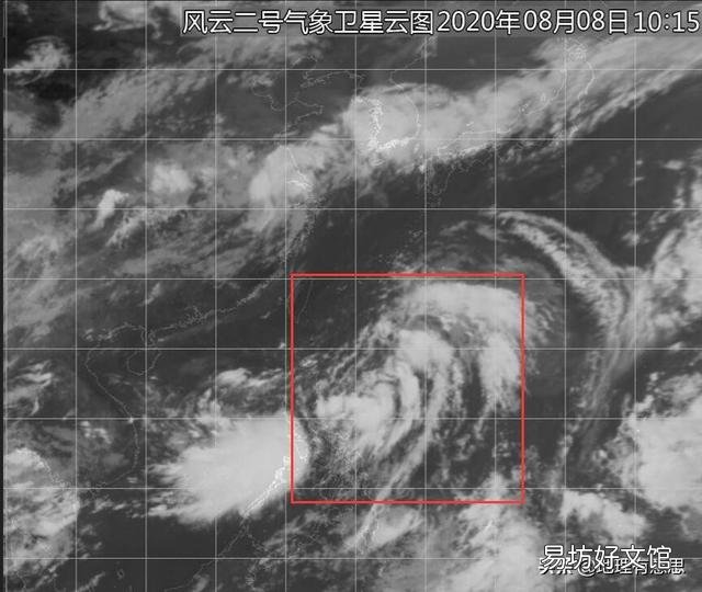 第5号台风“蔷薇”即将生成,还会在浙江登陆吗?