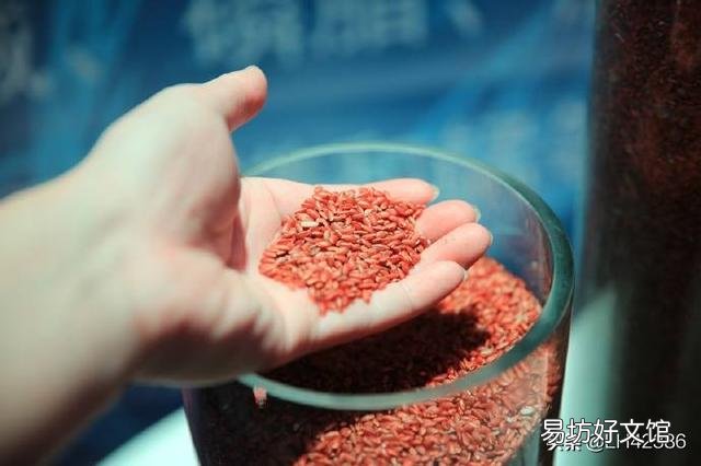 山东人在海里种水稻,是真的吗?