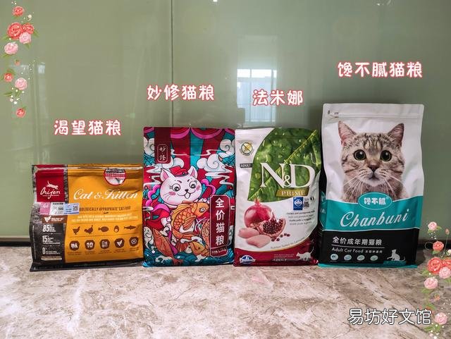 苏格兰猫图片(苏格兰猫和英短区别)