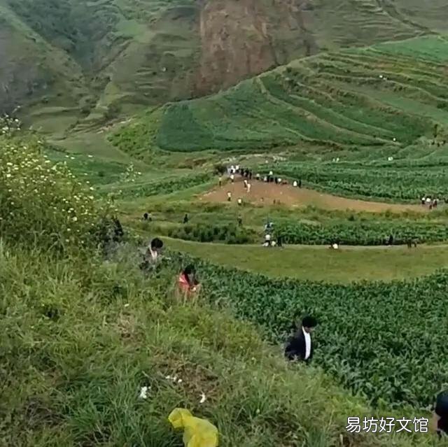 贵州龙叫声和地震有关系吗？