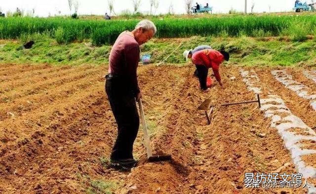 山东最近降雨频繁，基本缓解干旱，雨量恢复到二十年前水平了吗？