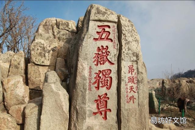 山东哪一座城市发展比较好?