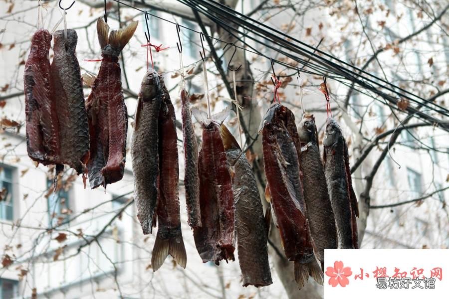 草鱼做腊鱼腌制方法是什么？