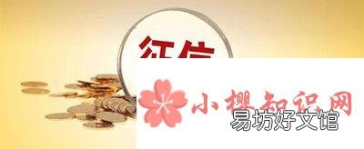 征信报告在哪里可以打？
