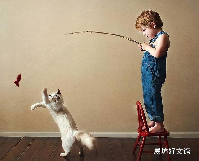 貓發出咕嚕咕嚕的聲音是什么意思(貓發出咕嚕聲表示什么)