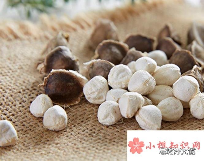 辣木籽的功效与作用及食用方法是什么?