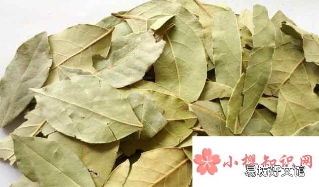 炖羊肉必放“4种香料”是什么?