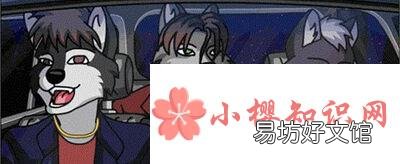 狼人杀中最可怕的身份牌是什么?