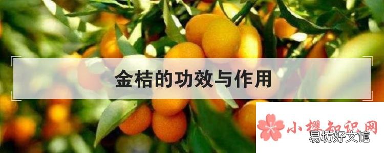 金桔的功效与作用
