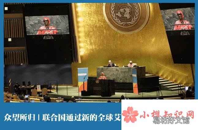 联合国提出在哪年终结艾滋病流行?