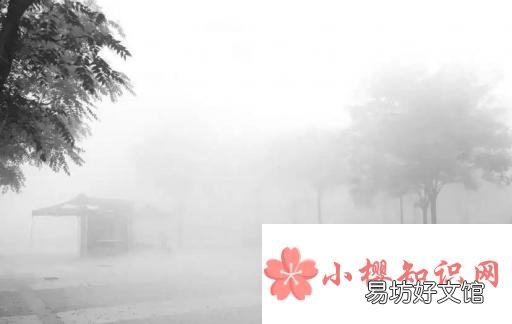 如何防霾，利于健康