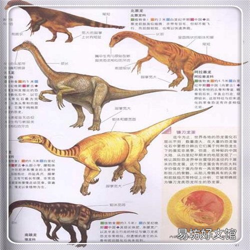 留香作文开头和结尾 留香的作文