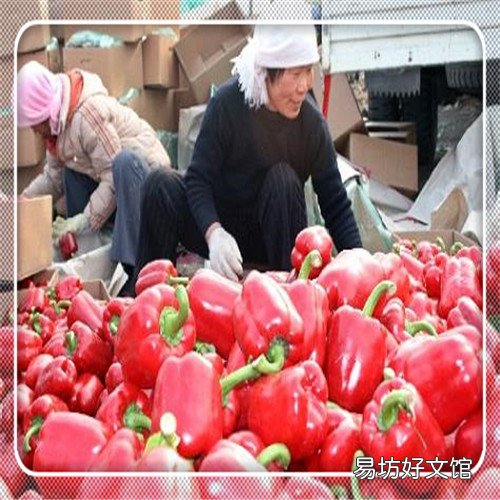 儿童书名大全200本 课外书作文