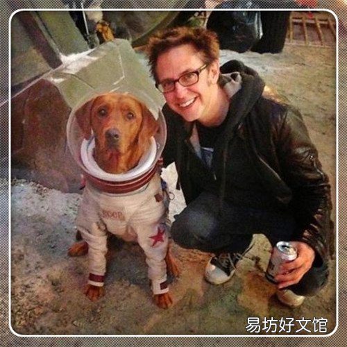 大黑熊作文300字 棕熊的作文