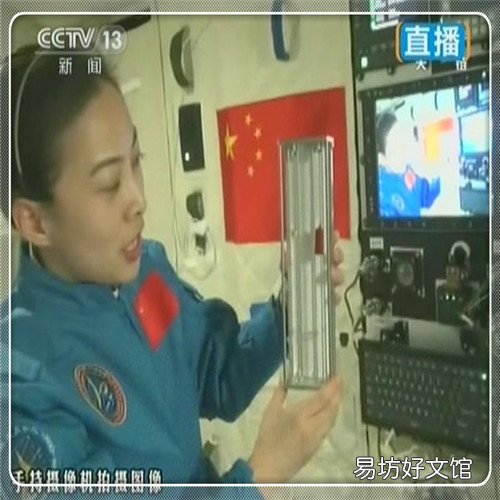 大黑熊作文300字 棕熊的作文
