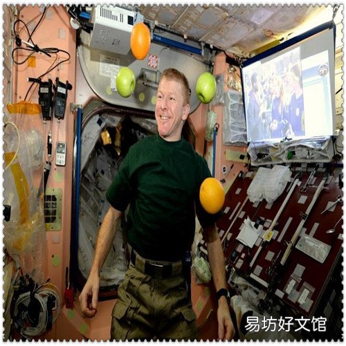shameless全九季百度云资源 无耻之徒第一季