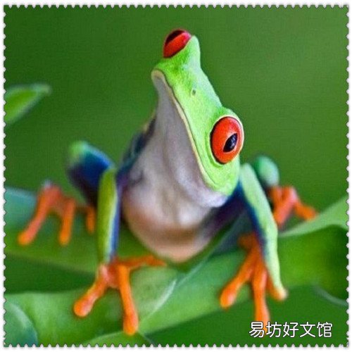 10万块最聪明的理财 放余利宝好还是余额宝