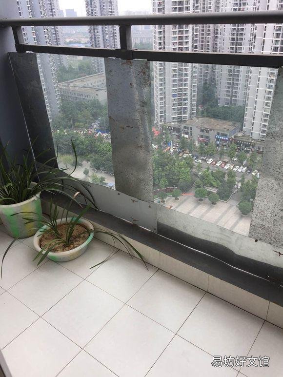 宠物店猫咪多少钱一只(宠物店的一只猫多少钱)