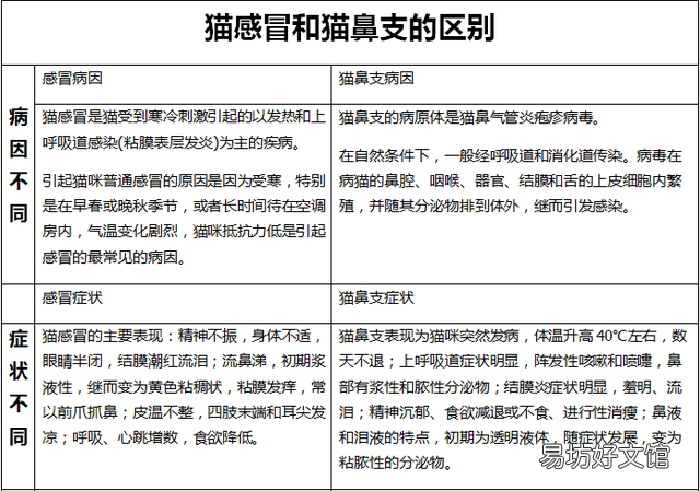 猫吃喝正常就是打喷嚏(猫吃喝正常就是打喷嚏用什么药)