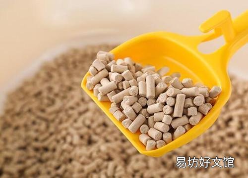 猫吃喝正常就是打喷嚏(猫吃喝正常就是打喷嚏用什么药)