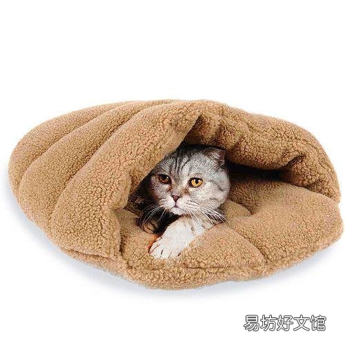 猫吃喝正常就是打喷嚏(猫吃喝正常就是打喷嚏用什么药)