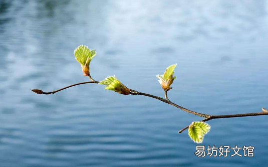 躲春可以打扫卫生吗