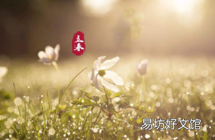 2023年立春是早春还是晚春 ?
