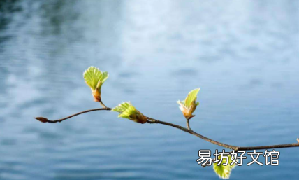 2023年立春是早春还是晚春 ?
