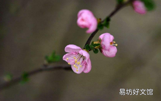 躲春可以和爱人在一起吗