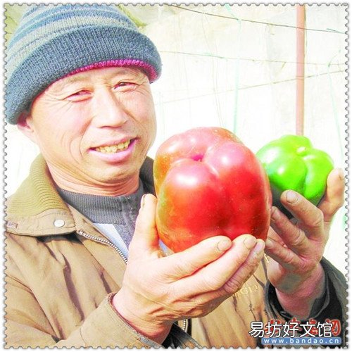世界上最后一只凤凰 世界上有多少个国家