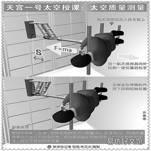 英语的基本句型有哪些 形容词用来修饰什么